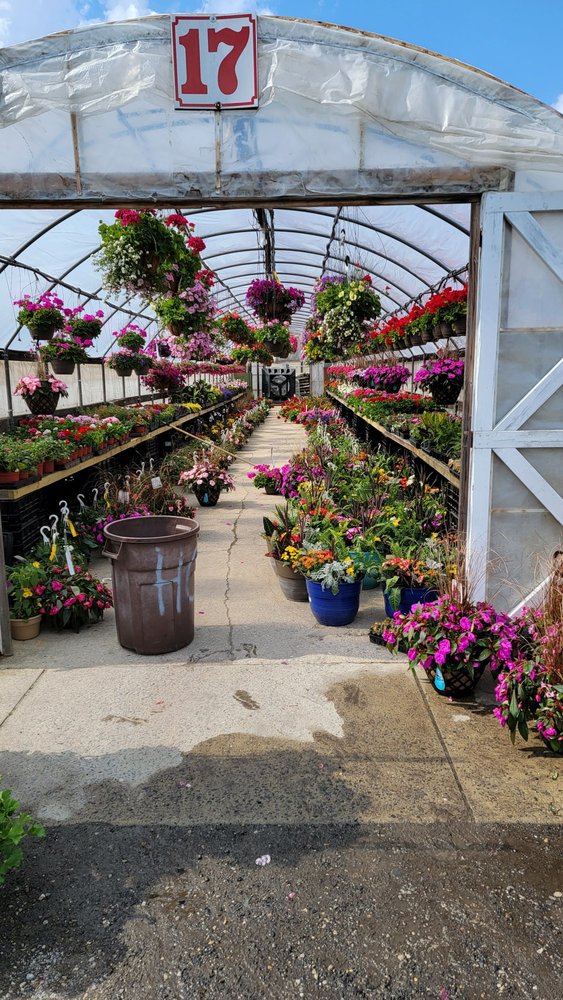 MR GREEN JEANS FARM MARKET & NURSERY 18 Reviews 214 State Hwy 73