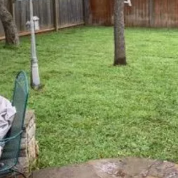 TGO Installation - a fire pit in a backyard - Lawn Services Near Me