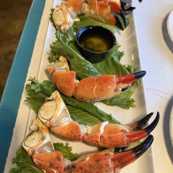 Blue Dog Bar & Grill - Bars Near Me - Matlacha, Florida