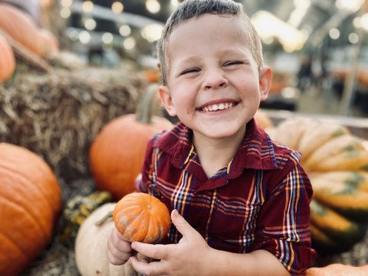 GALLAGHER’S PUMPKINS & CHRISTMAS TREES - Updated November 2024 - 197 