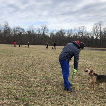 Freedom Barks Dog Park - Dog Parks Near Me - Medford, New Jersey