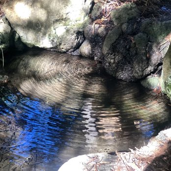 Blake Garden - Parks Near Me - Kensington, California