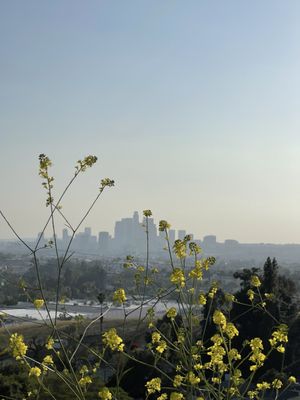 Ascot Hills Park by null