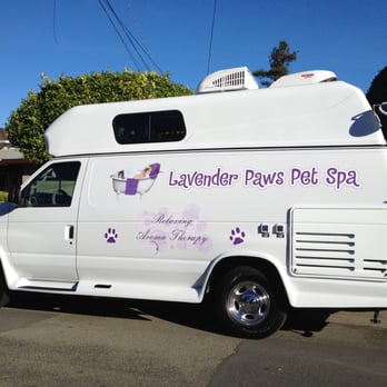Lavender Paws Pet Spa - Lavender Paws Pet Spa offers full service luxury grooming for your Dog or Cat in the comfort and safety of your own driveway! - Pet Groomers Near Me - Sebastopol, California Lavender Paws Pet Spa - Lavender Paws Pet Spa offers full service luxury grooming for your Dog or Cat in the comfort and safety of your own driveway! - Pet Groomers Near Me - Sebastopol, California