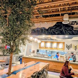 The Great Greek Mediterranean Grill - Nice dining space with a live olive tree