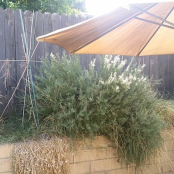 Dirty Work Landscape Company - Landscaping Near Me