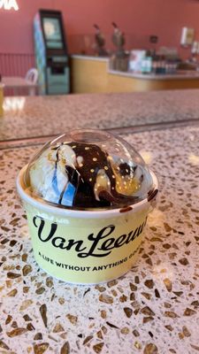 Van Leeuwen Ice Cream by null