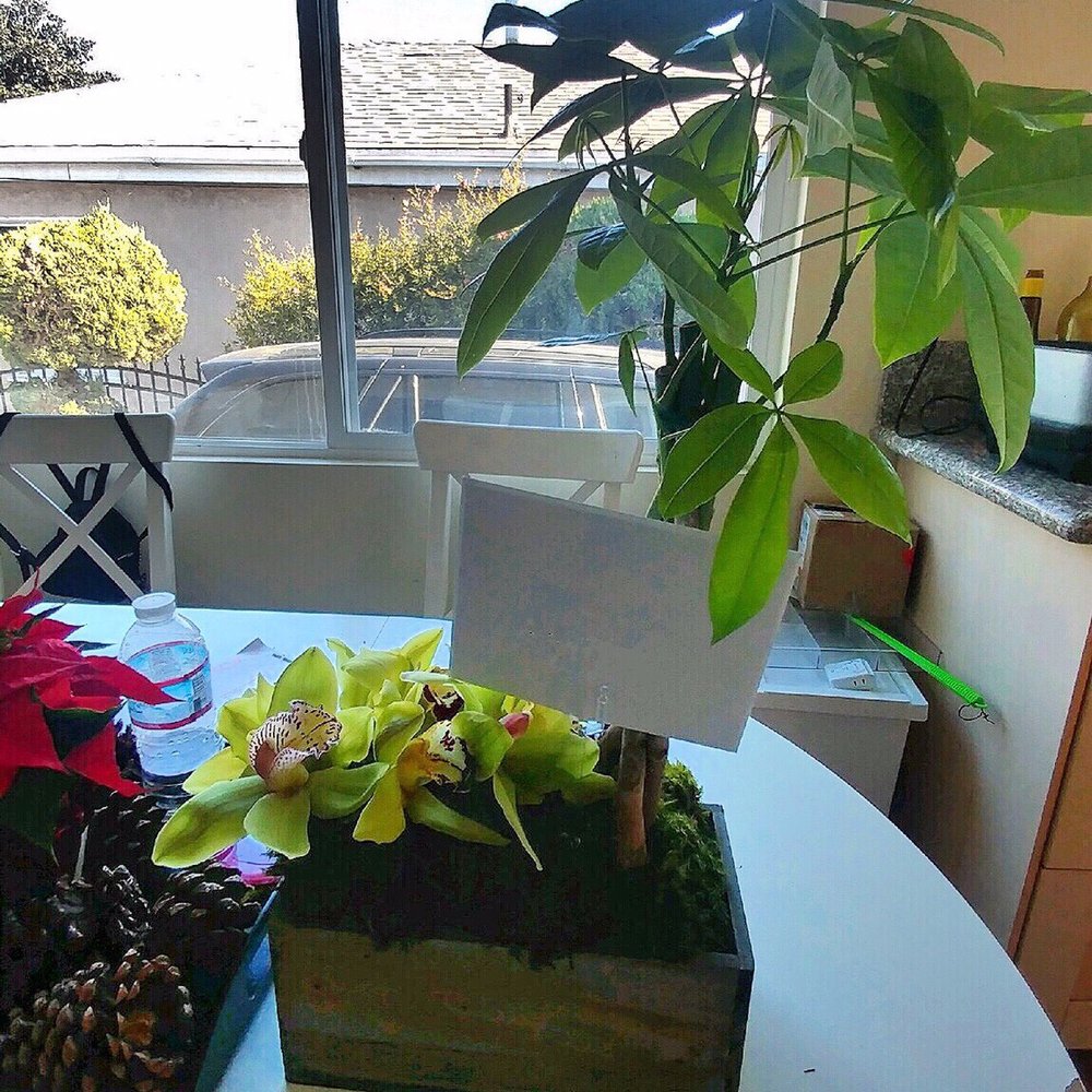 French Florist - Florists Near Me - El Segundo, California French Florist - Florists Near Me - El Segundo, California