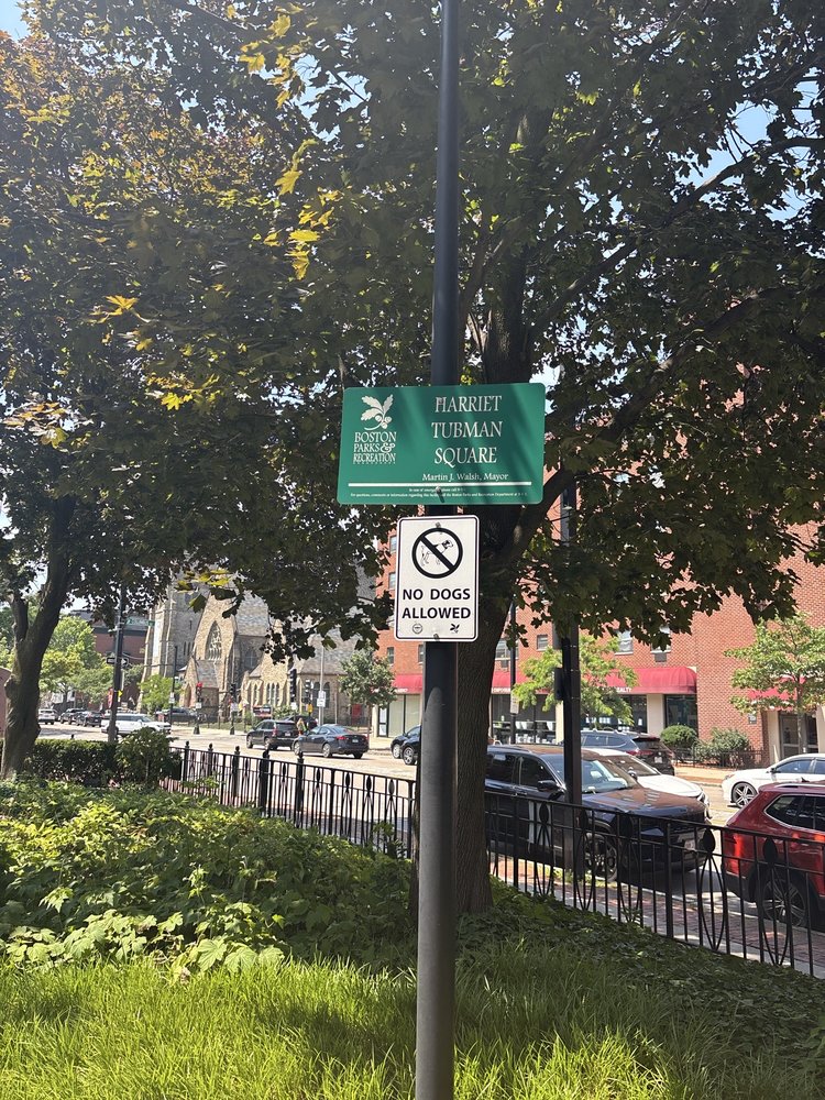 Harriet Tubman Square Logo