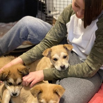 Sunset Veterinary Clinic - Veterinarians Near Me - Edmond, Oklahoma