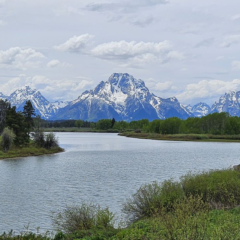 Yellowstone Day Tours - Oxbow Bend - Tours Near Me Yellowstone Day Tours - Oxbow Bend - Tours Near Me