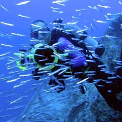 Deep Relief Dive Center