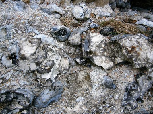 Richborough Roman Fort and Amphitheatre by null