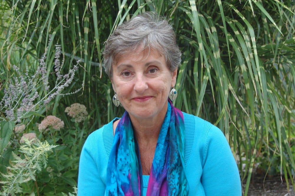 Paula Nesoff, LMT, MSW Logo