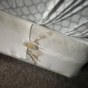 Moonrise Resort - Look at that!!!!!! SO UNSANITARY - Resorts Near Me - Floral City, Florida Moonrise Resort - Look at that!!!!!! SO UNSANITARY - Resorts Near Me - Floral City, Florida