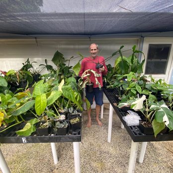 Tropical Flowers by Charles - Entrepreneur, Owner, Enthusiast and his collection. - Nurseries & Gardening Near Me - Koloa, Hawaii Tropical Flowers by Charles - Entrepreneur, Owner, Enthusiast and his collection. - Nurseries & Gardening Near Me - Koloa, Hawaii