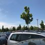 Photo of Parkplatz Hoppnerweg