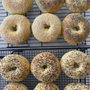 Photo of The NY Bagel Guy