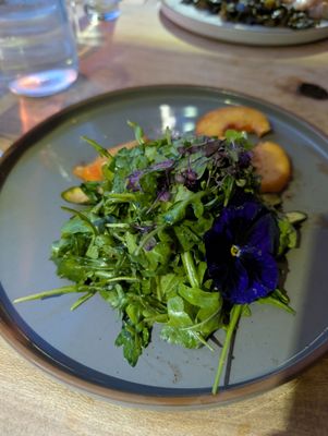 Dandelion - Restaurant by null