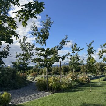 The Orchard - Venues & Event Spaces Near Me - Hood River, Oregon The Orchard - Venues & Event Spaces Near Me - Hood River, Oregon