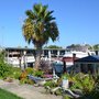 Photo of Driftwood Marina