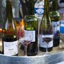 Photo of Invincible Vigneron