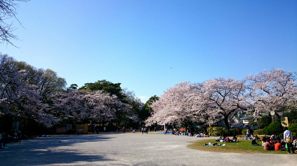 Tamagawadai Park