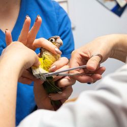 Belton Animal Clinic & Exotic Care Center