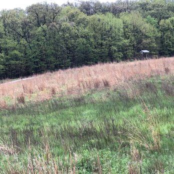 West Creek Reservation - Bluebird Point - Parks Near Me - Parma, Ohio West Creek Reservation - Bluebird Point - Parks Near Me - Parma, Ohio