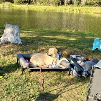 Pioneer Park Campground - Site 269 views - Campgrounds Near Me - Somerset, Pennsylvania