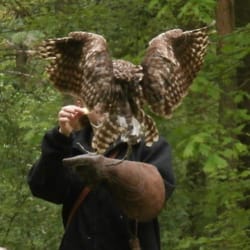 Klein Zwitserland - Flugschau