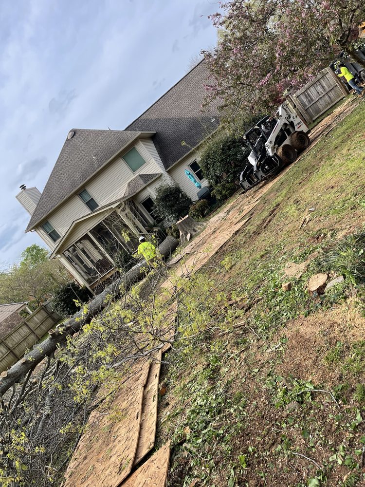 Bartley Tree - tree service in Huntsville, AL