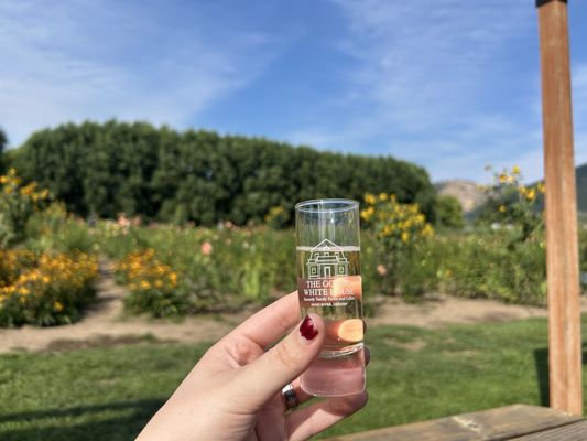 The Gorge White House by null