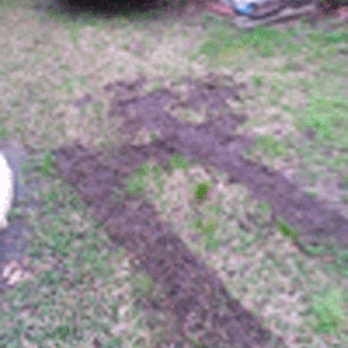 Fresh Lawn Mowing Service - After four days of rain, Fresh Law Mowing Services decided that mudding in my front yard was a good idea. - Lawn Services Near Me - Houston, Texas Fresh Lawn Mowing Service - After four days of rain, Fresh Law Mowing Services decided that mudding in my front yard was a good idea. - Lawn Services Near Me - Houston, Texas