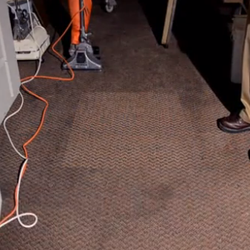 Poseidon Dry Carpet Cleaning