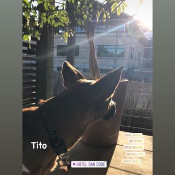 Hotel San José - Tito! - Hotels Near Me - Austin, Texas