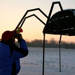 VW Spider
