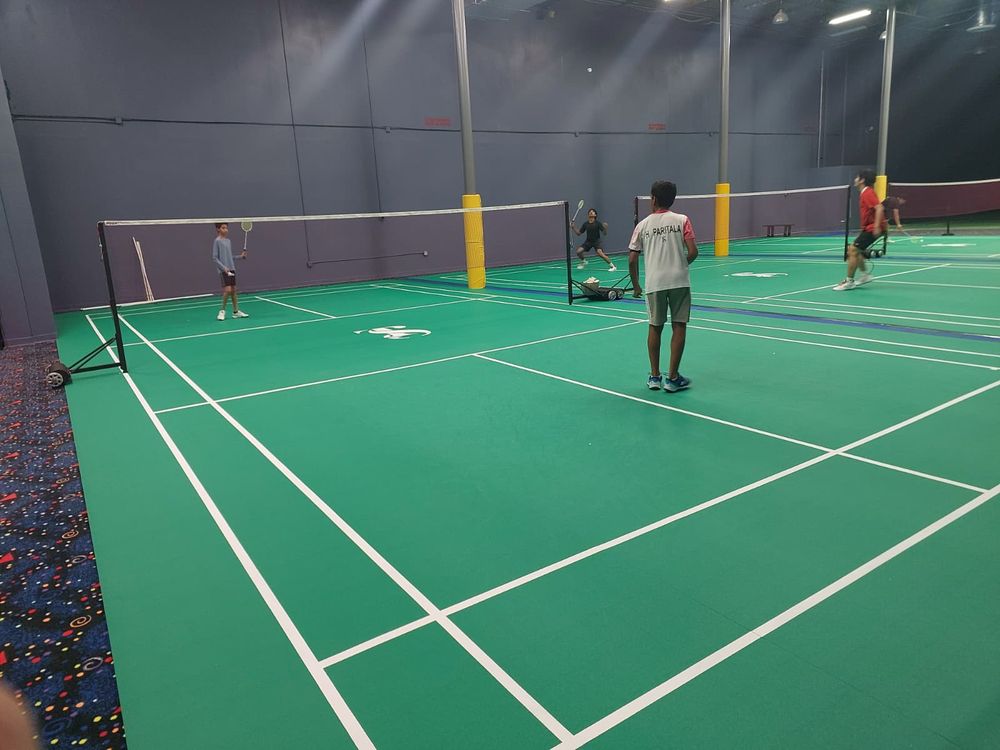 TS Badminton Logo