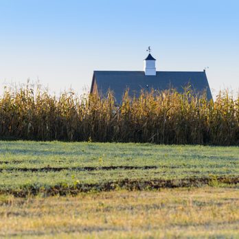 Blue Moon Acres - Blue Moon Acres Barn Photo Credit: Paul S. Bartholomew Photography - Fruits & Veggies Near Me - Pennington, New Jersey Blue Moon Acres - Blue Moon Acres Barn Photo Credit: Paul S. Bartholomew Photography - Fruits & Veggies Near Me - Pennington, New Jersey