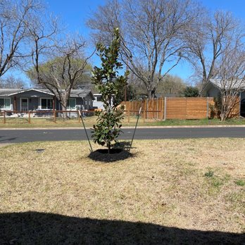 Moon Valley Nurseries - Nurseries & Gardening Near Me - Austin, Texas