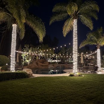 Be The Light Outdoor Lighting - Backyard bistro lights, lights wrapped on trees. Lights easily controlled via app on phone. - Electricians Near Me Be The Light Outdoor Lighting - Backyard bistro lights, lights wrapped on trees. Lights easily controlled via app on phone. - Electricians Near Me