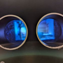 Witte Museum - Hammerhead eyes