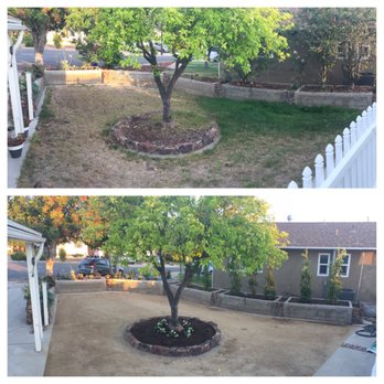 Calderon's Landscape - Before and after - Landscaping Near Me Calderon's Landscape - Before and after - Landscaping Near Me
