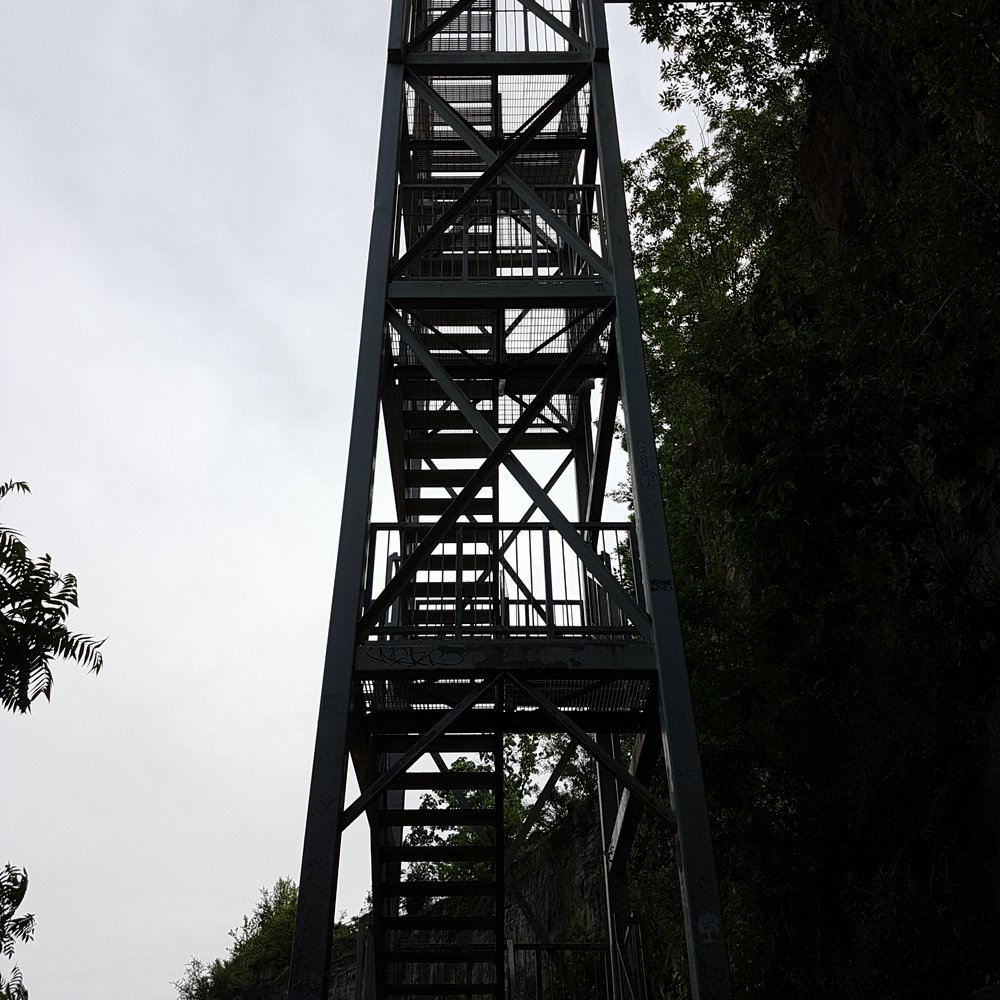 Niagara Glen Nature Reserve - Stairs down to the trails. - Parks Near Me - Niagara Falls, Ontario Niagara Glen Nature Reserve - Stairs down to the trails. - Parks Near Me - Niagara Falls, Ontario