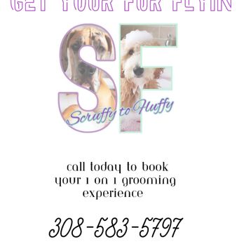 Scruffy to Fluffy - Pet Groomers Near Me - North Platte, Nebraska Scruffy to Fluffy - Pet Groomers Near Me - North Platte, Nebraska
