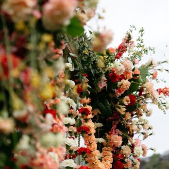 Something's Blooming - Florists Near Me Something's Blooming - Florists Near Me