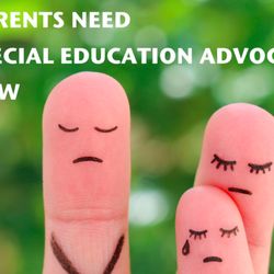 Florida Families Educational Advocacy & Consulting