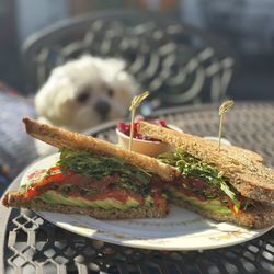 Tulip Tree Cafe - Roasted veggie sandwich with pickled beets
