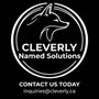 Photo of Cleverly Named Solutions