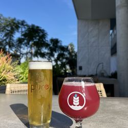 Pure Project - Balboa Park